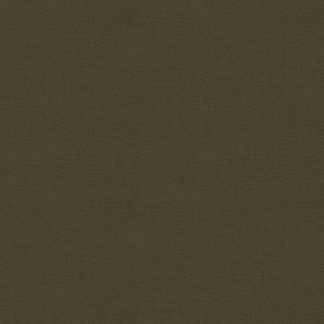 Brunschwig & Fils FYVIE WOOL SATIN HAZELNUT Upholstery Fabric