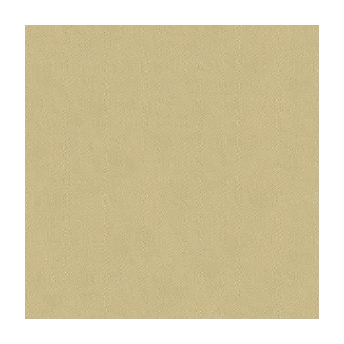 Kravet 4070 16 Fabric