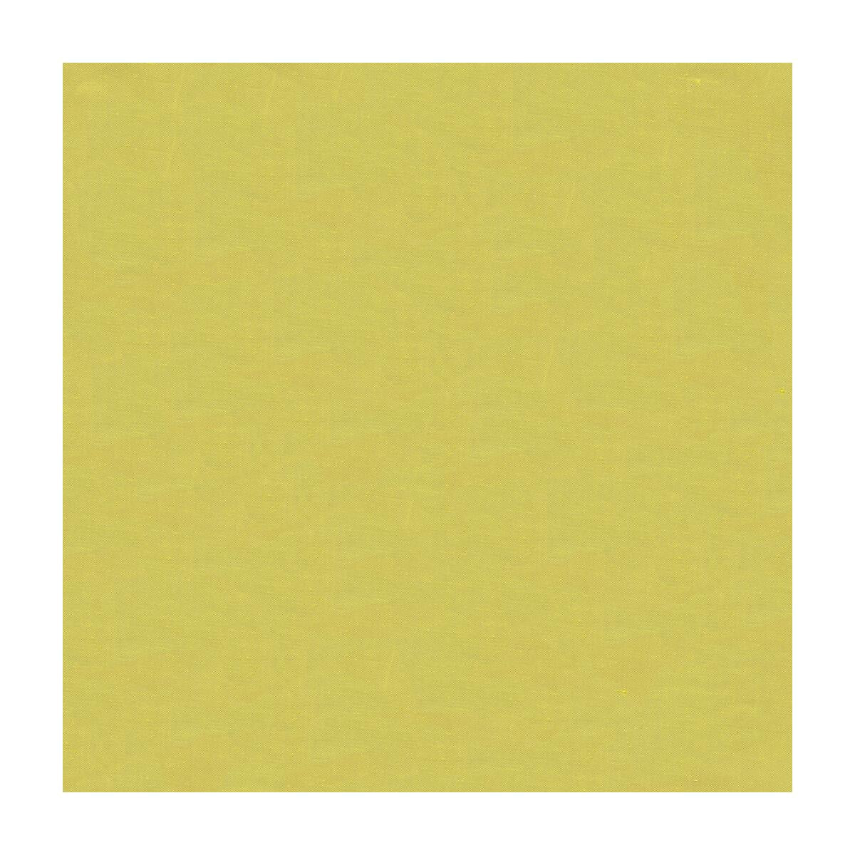 Kravet 4070 3 Fabric