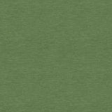 Brunschwig & Fils THANON LINEN VELVET NILE Upholstery Fabric