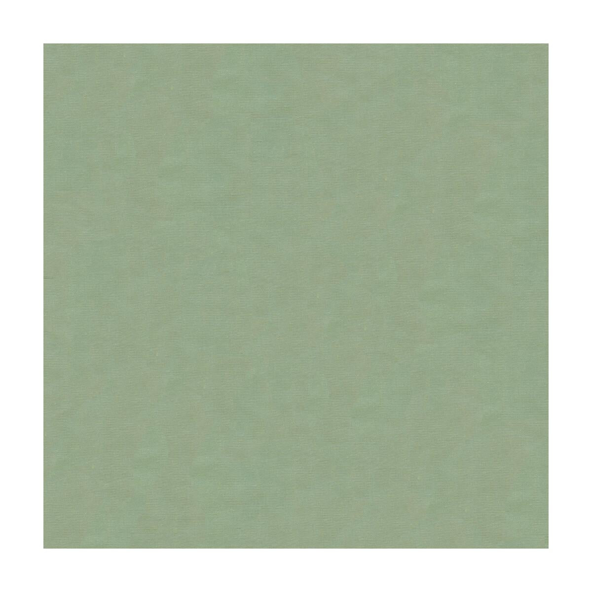 Kravet 4070 5252 Fabric