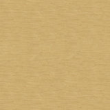 Brunschwig & Fils QUILLAN VELVET ASH Upholstery Fabric