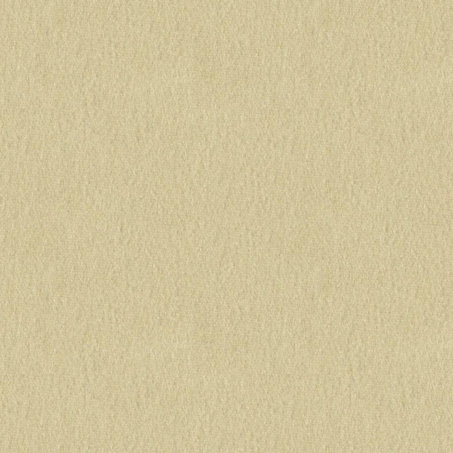 Brunschwig & Fils AUTUN MOHAIR VELVET PEARL Upholstery Fabric