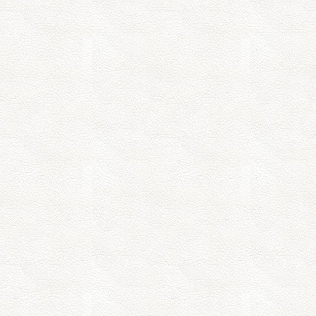 Kravet DESIGN ALI 101 Upholstery Fabric