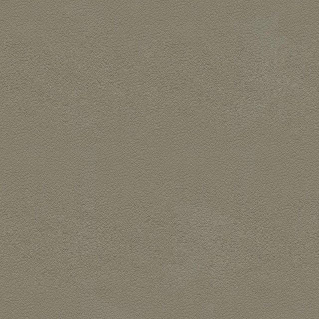 Kravet DESIGN ALI 11 Upholstery Fabric