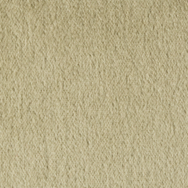 Brunschwig & Fils AUTUN MOHAIR VELVET EUCALYPTUS Upholstery Fabric