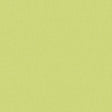 Brunschwig & Fils AUTUN MOHAIR VELVET CELERY Upholstery Fabric