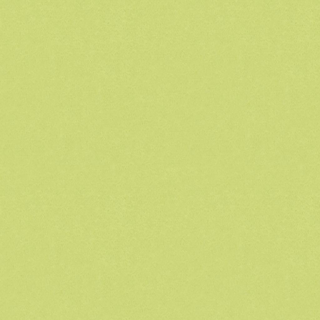 Brunschwig & Fils AUTUN MOHAIR VELVET CELERY Upholstery Fabric