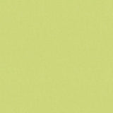 Brunschwig & Fils AUTUN MOHAIR VELVET CELERY Upholstery Fabric