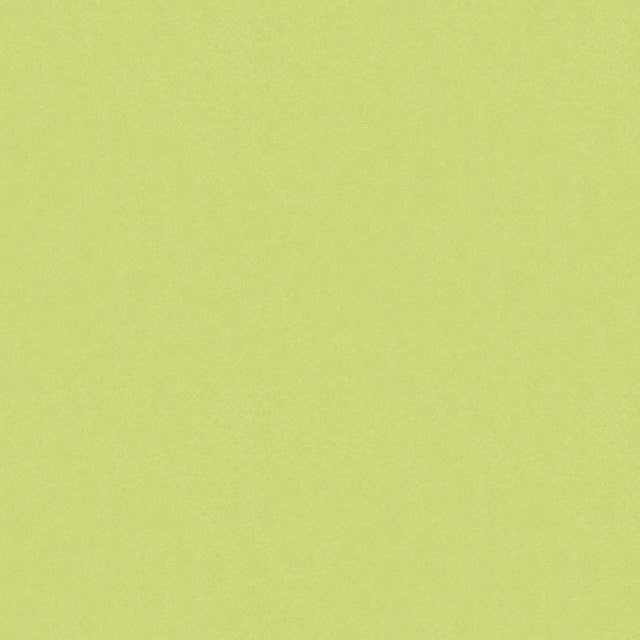 Brunschwig & Fils AUTUN MOHAIR VELVET CELERY Upholstery Fabric