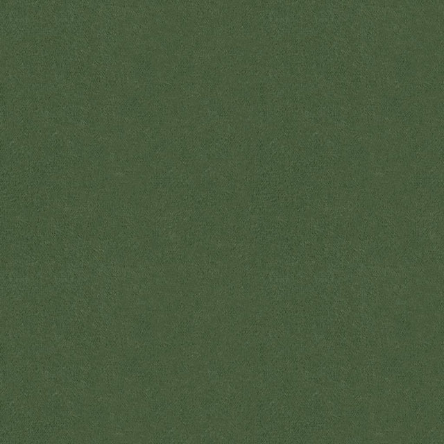 Brunschwig & Fils AUTUN MOHAIR VELVET BAYLEAF Upholstery Fabric