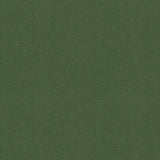 Brunschwig & Fils AUTUN MOHAIR VELVET BAYLEAF Upholstery Fabric