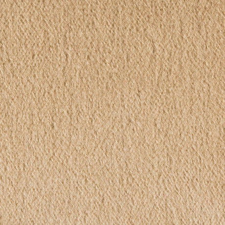 Brunschwig & Fils AUTUN MOHAIR VELVET TWINE Upholstery Fabric