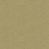 Brunschwig & Fils AUTUN MOHAIR VELVET DOVE Upholstery Fabric