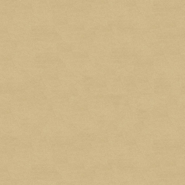 Brunschwig & Fils LUBECK COTTON VELVET OYSTER Upholstery Fabric