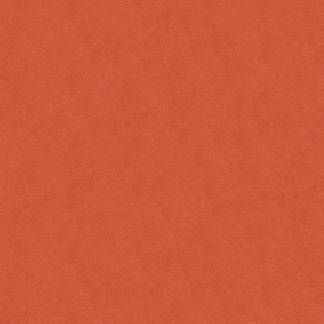 Brunschwig & Fils LUBECK COTTON VELVET SHELL Upholstery Fabric