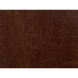 Kravet CAPTURED CAPPUCIO Upholstery Fabric