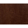 Kravet CAPTURED CAPPUCIO Upholstery Fabric