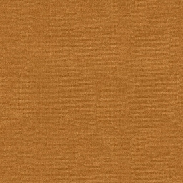 Brunschwig & Fils LUBECK COTTON VELVET HONEY Upholstery Fabric