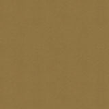 Brunschwig & Fils LUBECK COTTON VELVET SPICE Upholstery Fabric