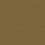 Brunschwig & Fils LUBECK COTTON VELVET FAWN Upholstery Fabric