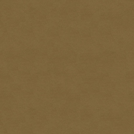 Brunschwig & Fils LUBECK COTTON VELVET FAWN Upholstery Fabric