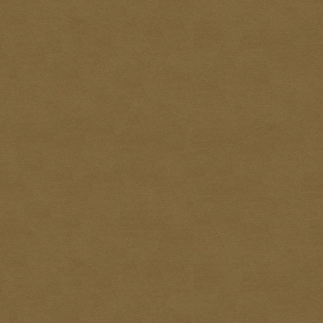 Brunschwig & Fils LUBECK COTTON VELVET FAWN Upholstery Fabric