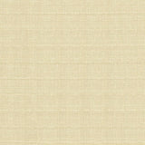 Kasmir Abalone Oyster Fabric