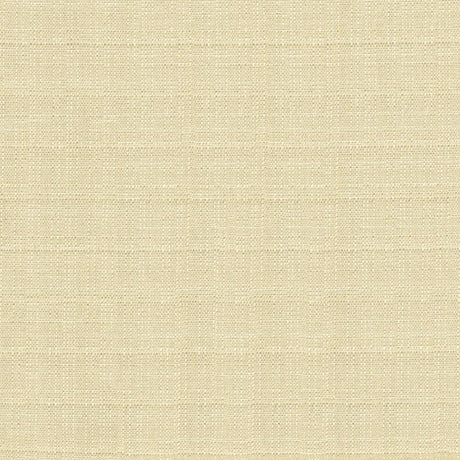 Kasmir Abalone Oyster Fabric