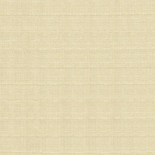 Kasmir Abalone Oyster Fabric