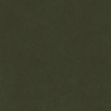 Kravet FAUX HIDE STEEL Upholstery Fabric