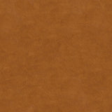 Kravet FAUX HIDE CASHEW Upholstery Fabric