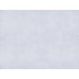Brunschwig & Fils SUKHOTHAI WHITE Drapery Fabric