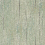 Mulberry WOOD PANEL LICHEN Wallpaper