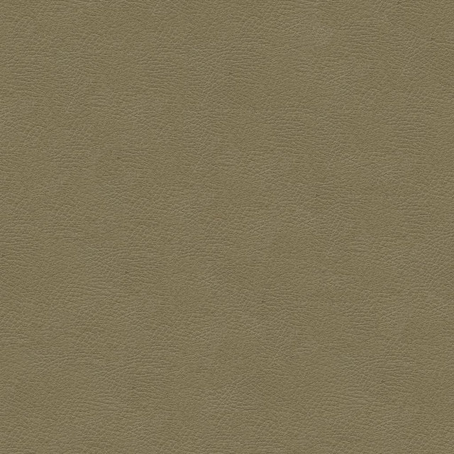 Kravet DESIGN GRANA 11 Upholstery Fabric