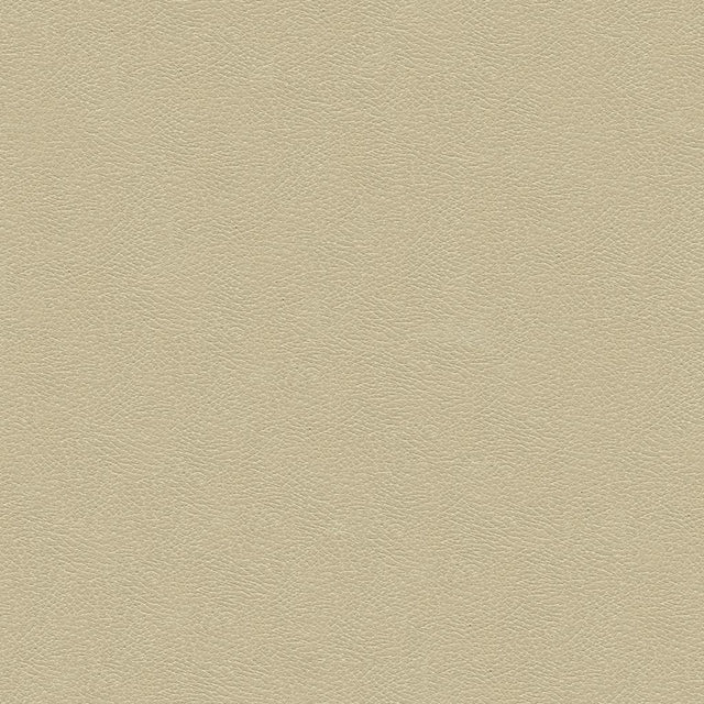 Kravet DESIGN GRANA 1116 Upholstery Fabric