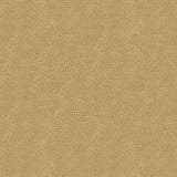 Kravet DESIGN GRANA 16 Upholstery Fabric