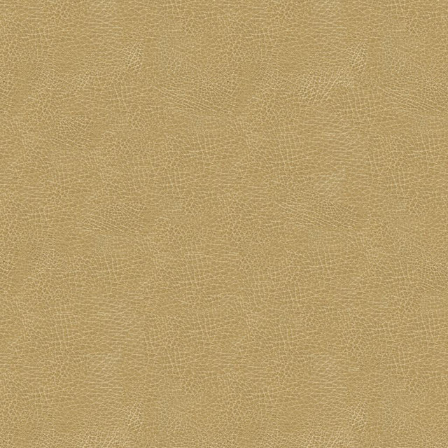 Kravet DESIGN GRANA 16 Upholstery Fabric