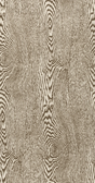 Brunschwig & Fils WOOD BARK Wallpaper