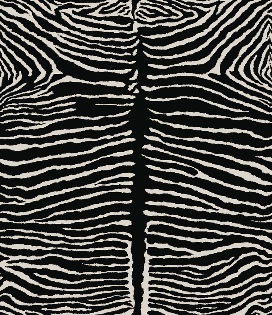 Brunschwig & Fils LE ZEBRE BLACK Wallpaper