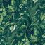 Brunschwig & Fils FEUILLAGE GREEN Wallpaper