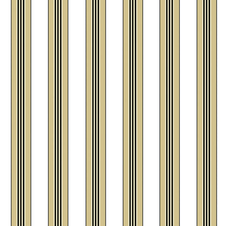 Brunschwig & Fils RAYURE LIONE BEIGE Wallpaper