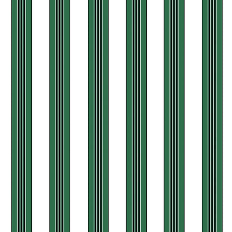 Brunschwig & Fils RAYURE LIONE EMERALD Wallpaper