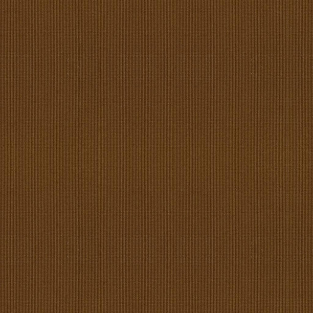 Kravet NIMBLE CASHEW Upholstery Fabric