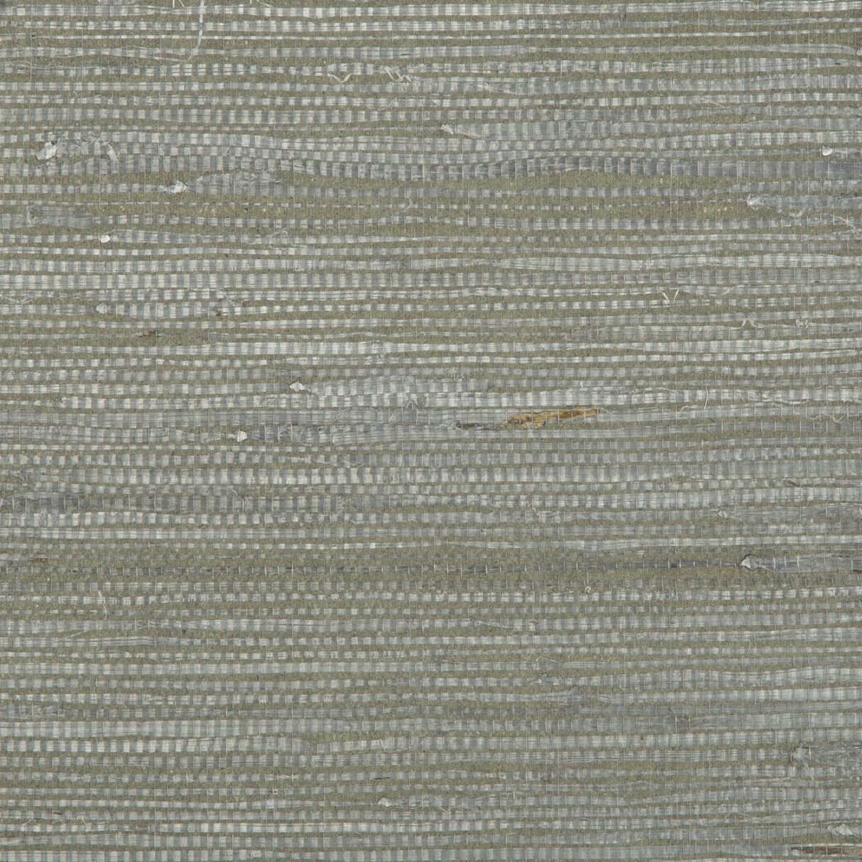 Brunschwig & Fils KOCHI PEWTER Wallpaper