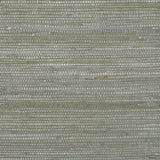 Brunschwig & Fils KOCHI PEWTER Wallpaper
