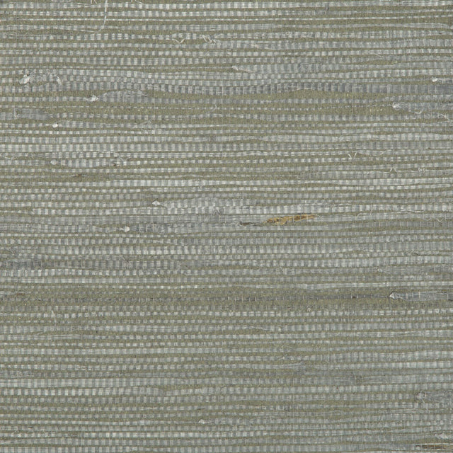 Brunschwig & Fils KOCHI PEWTER Wallpaper