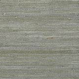 Brunschwig & Fils KOCHI PEWTER Wallpaper