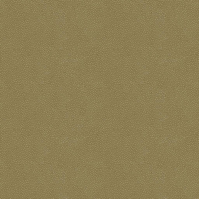Kravet DESIGN PIETRA 11 Upholstery Fabric