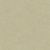 Kravet DESIGN PIETRA 1111 Upholstery Fabric